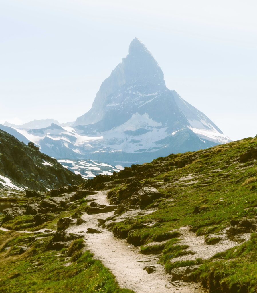 Empowering International Professionals